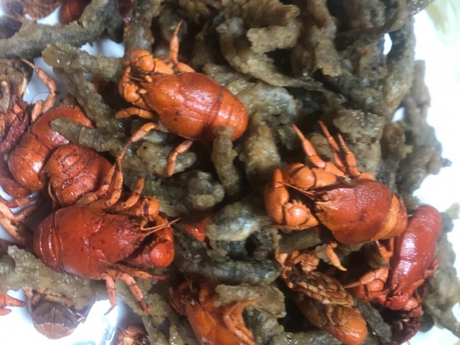 FORD ESCAPE 2013 65.000 Kms.